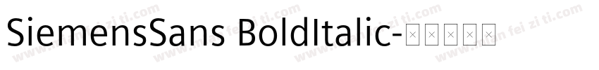 SiemensSans BoldItalic字体转换